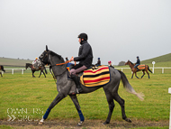 AK181121-34 - Sarsen